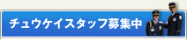 チュウケイスタッフ募集中